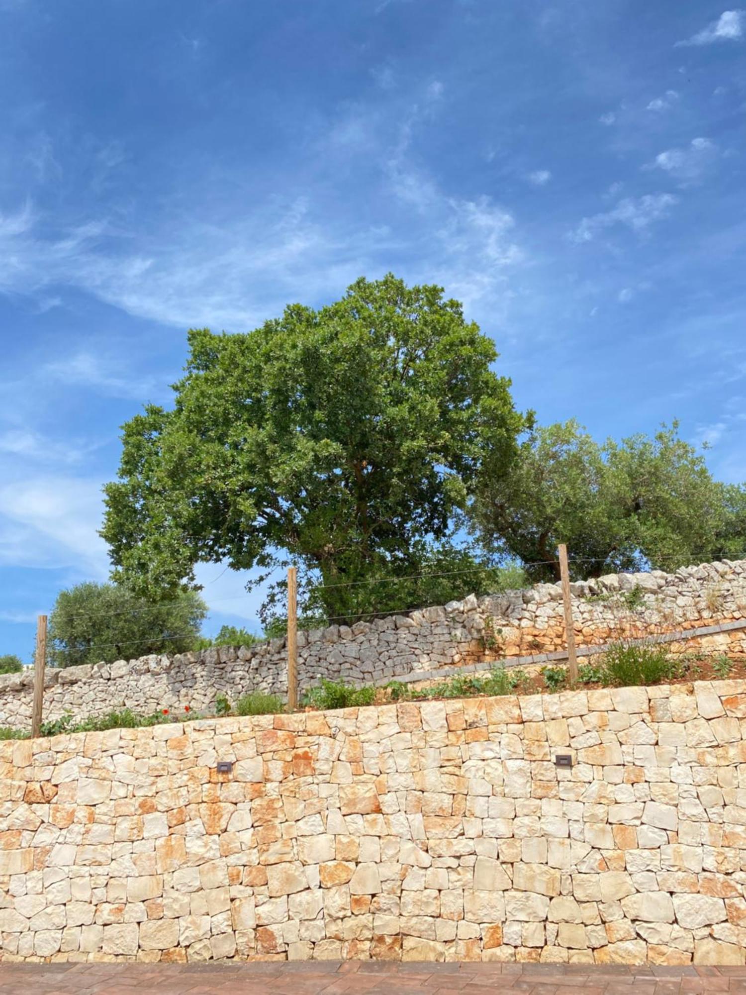 洛科罗通多Trulli Mbs By Apulia Hospitality公寓 外观 照片